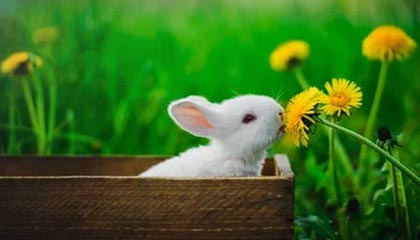 开云综合服务-男子仰泳铜牌到手令人振奋，男子仰泳世界纪录